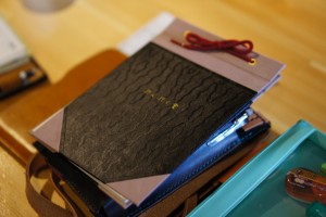 SONY DSC